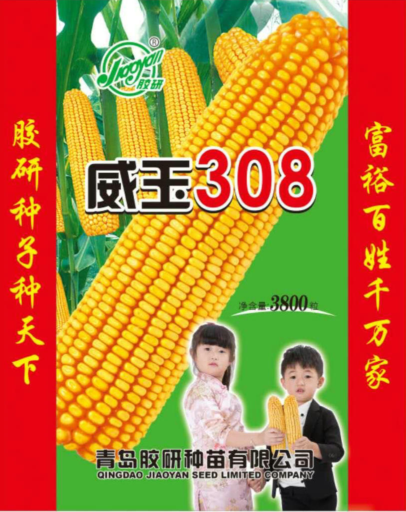 威玉308——玉米